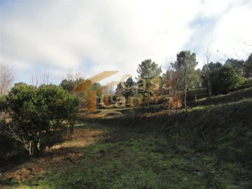Terreno para Venda em Folhadela