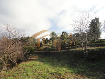 Terreno para Venda em Folhadela