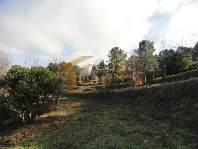 Terreno para Venda em Folhadela Foto 2