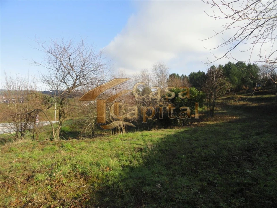Terreno para Venda em Folhadela Foto 4