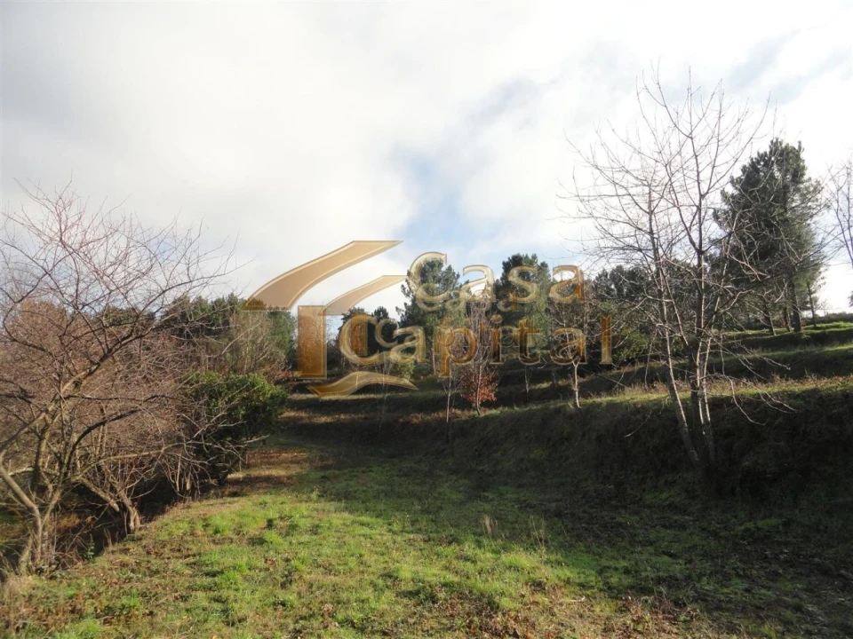 Terreno para Venda em Folhadela Foto 1