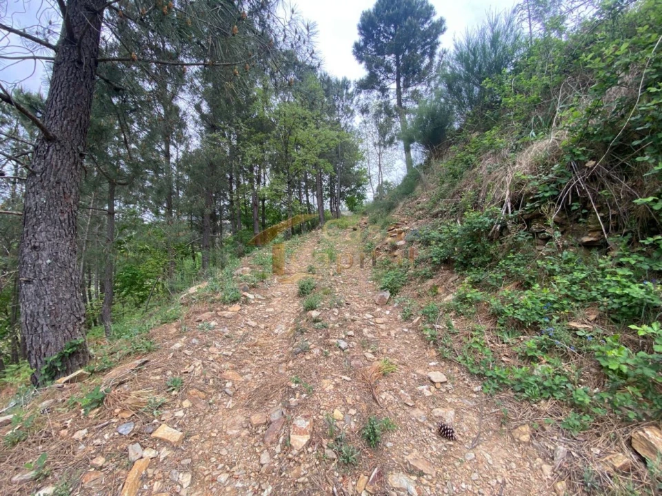 Moradia T2 para Venda em Torgueda Foto 38