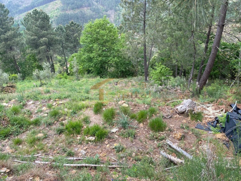 Moradia T2 para Venda em Torgueda Foto 37