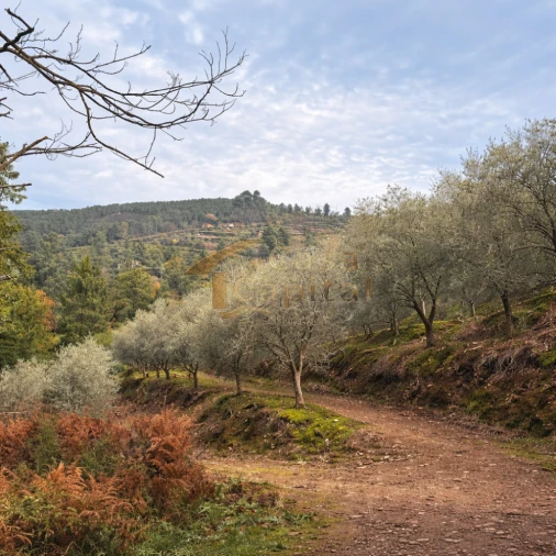 Moradia T2 para Venda em Louredo e Fornelos Foto 7