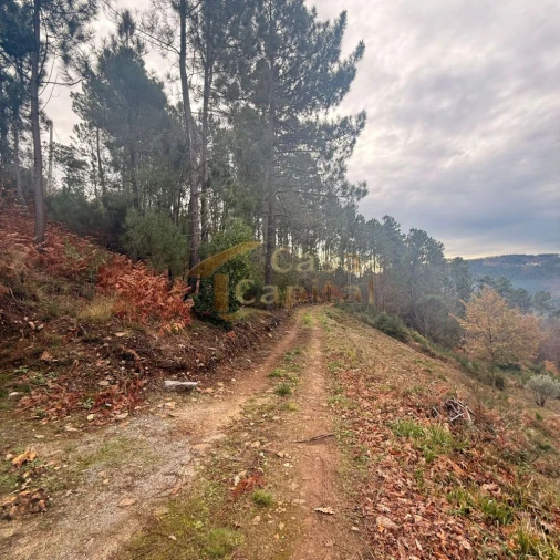 Moradia T2 para Venda em Louredo e Fornelos Foto 3