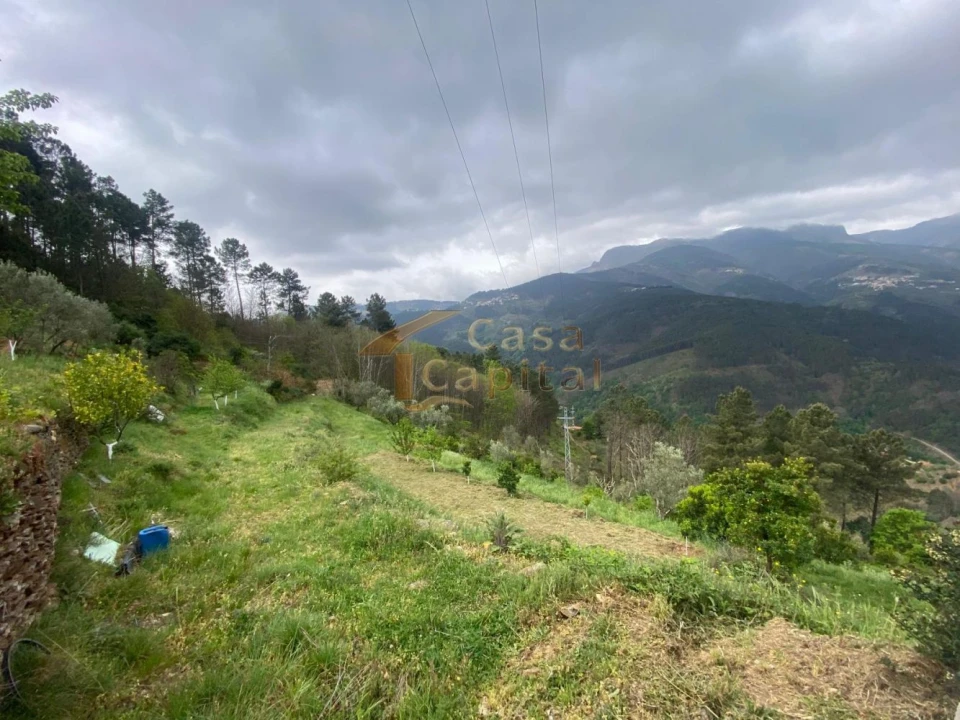 Moradia T2 para Venda em Torgueda Foto 49