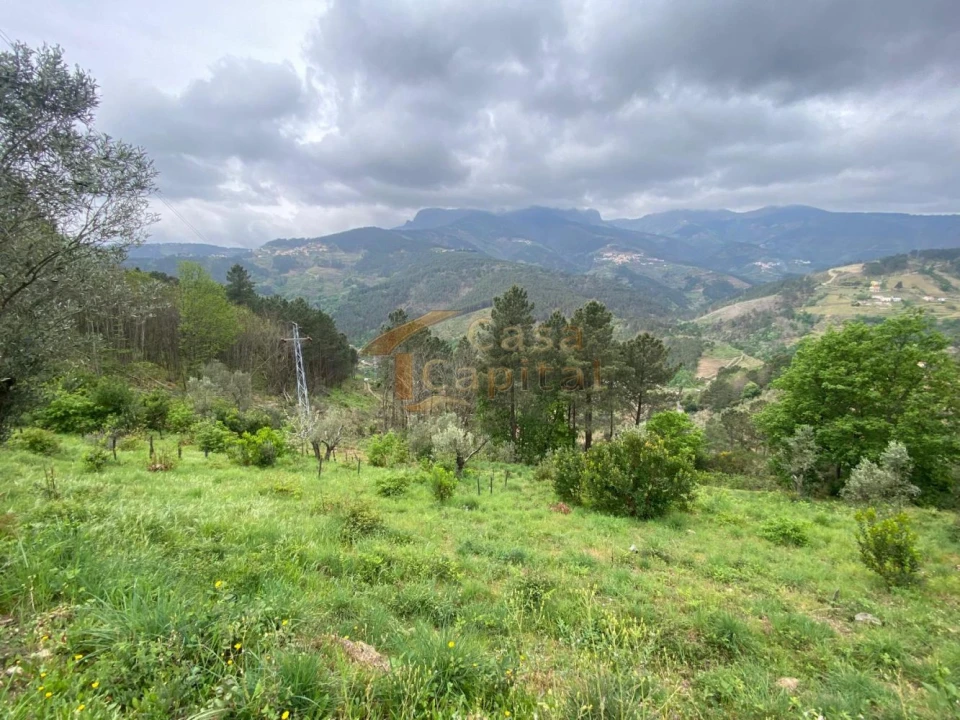 Moradia T2 para Venda em Torgueda Foto 39