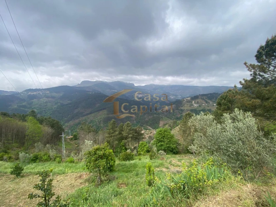 Moradia T2 para Venda em Torgueda Foto 21