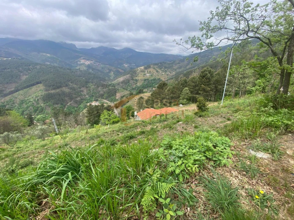 Moradia T2 para Venda em Torgueda Foto 30