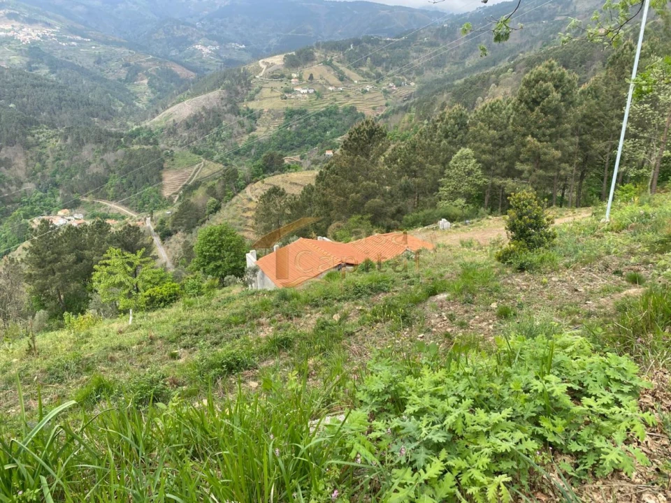 Moradia T2 para Venda em Torgueda Foto 31