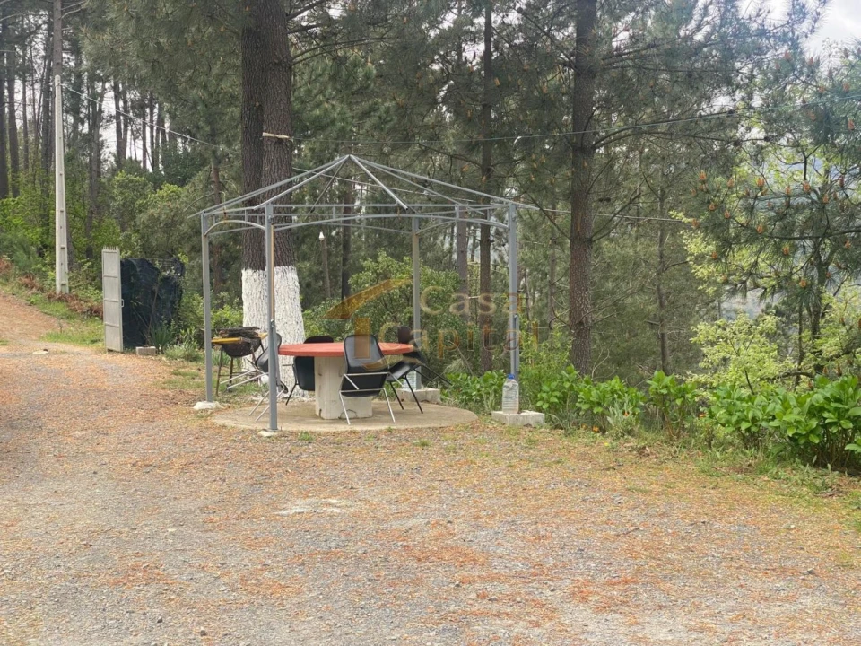 Moradia T2 para Venda em Torgueda Foto 50