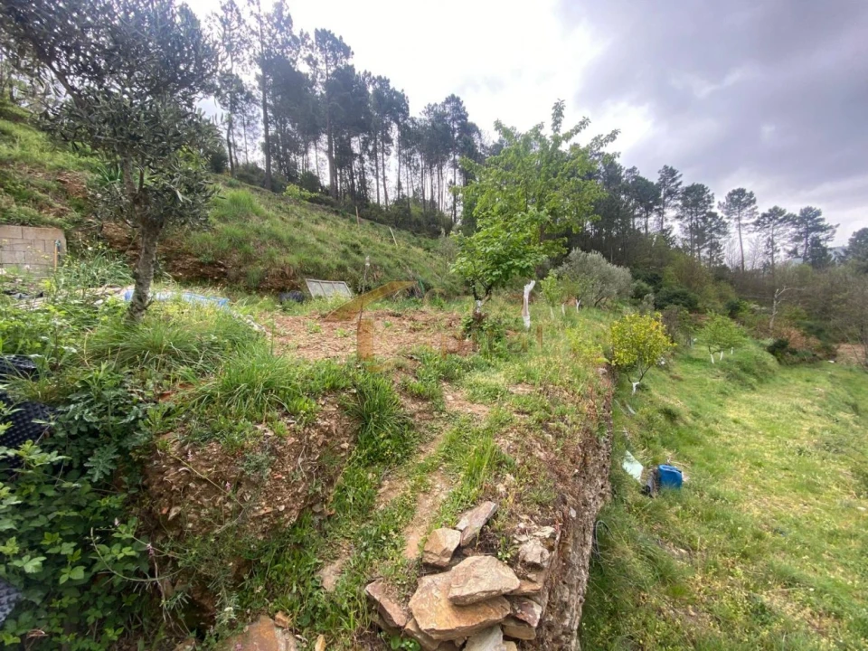 Moradia T2 para Venda em Torgueda Foto 23