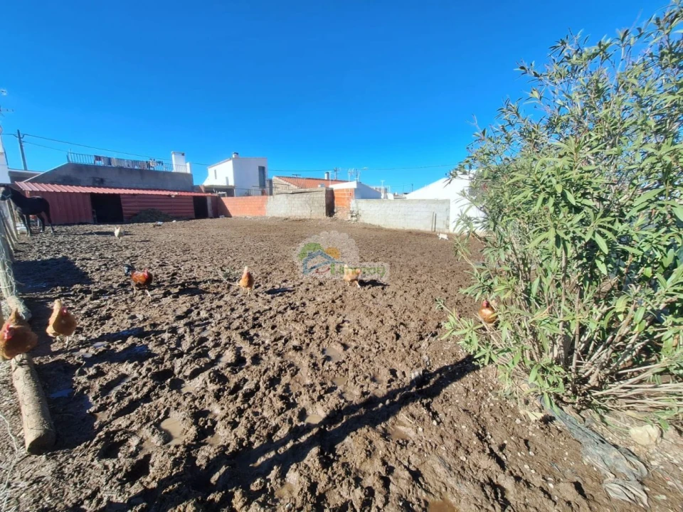 Moradia T2 para Venda em Campo e Campinho Foto 16