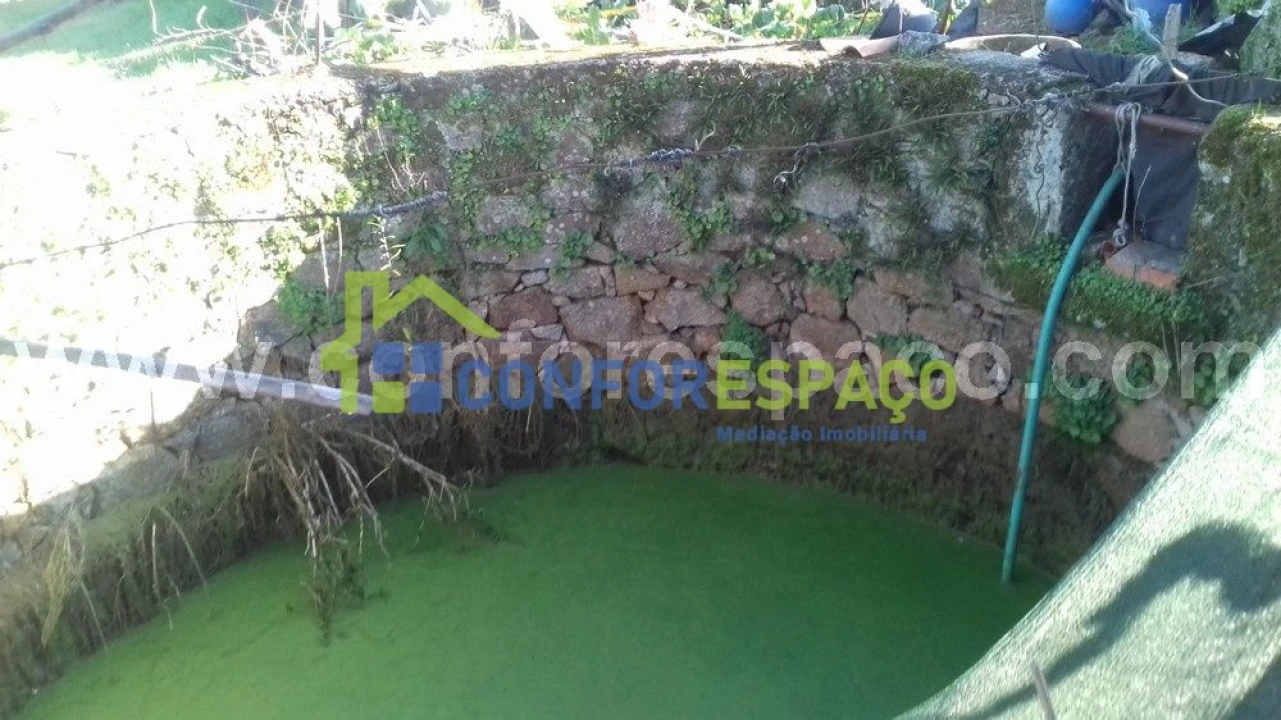 Quinta T0 para Venda em Castelo Branco Foto 8