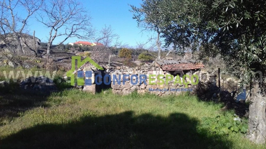 Quinta T0 para Venda em Castelo Branco