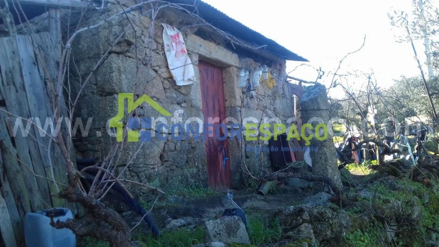 Quinta T0 para Venda em Castelo Branco Foto 7