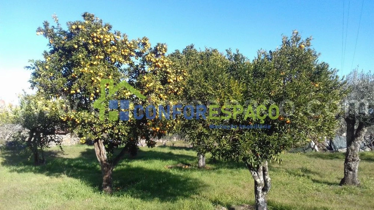Quinta T0 para Venda em Castelo Branco Foto 9