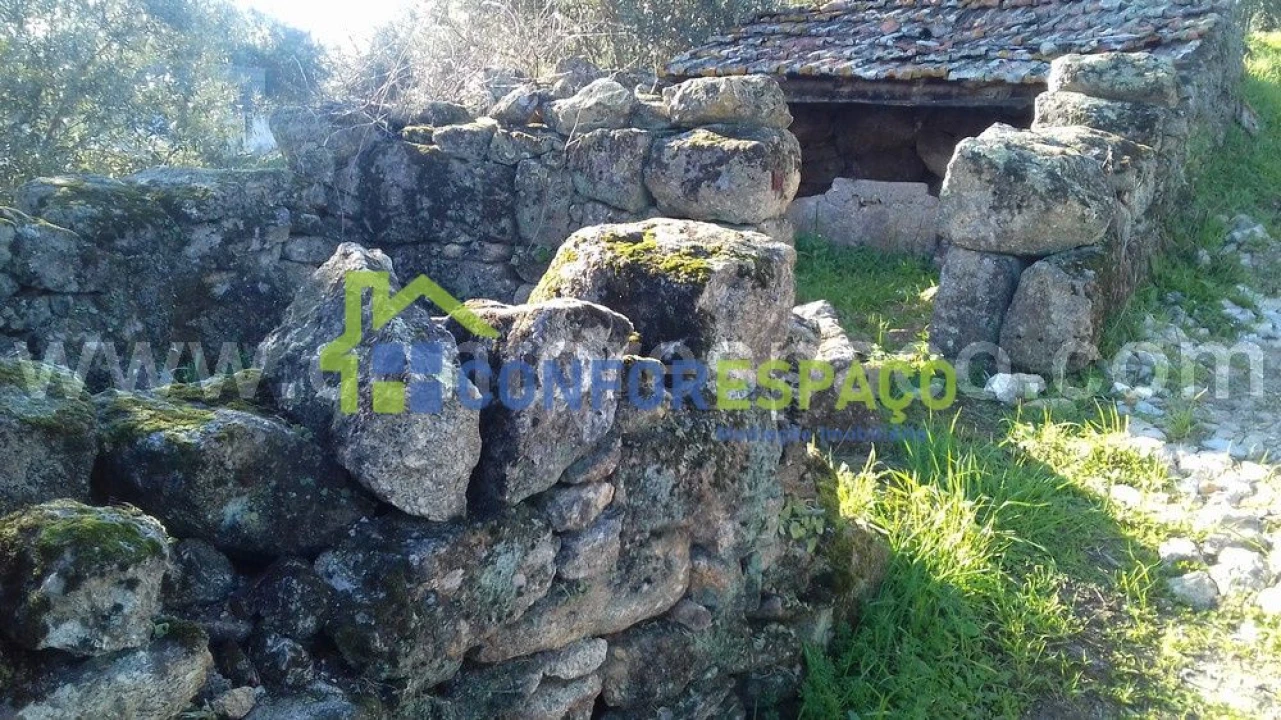 Quinta T0 para Venda em Castelo Branco Foto 4