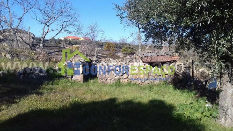 Quinta T0 para Venda em Castelo Branco
