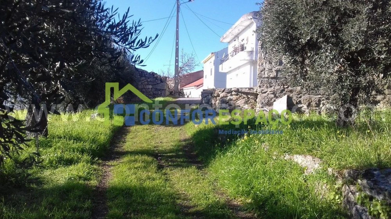 Quinta T0 para Venda em Castelo Branco Foto 12