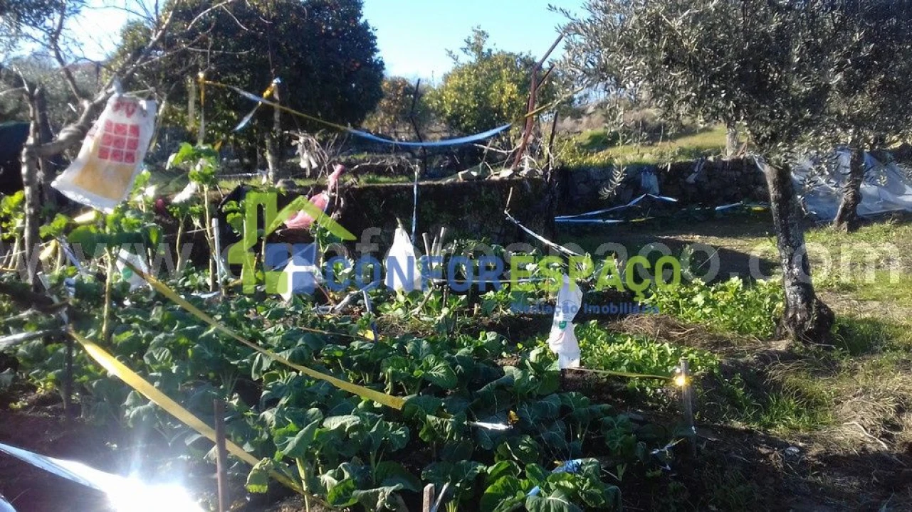 Quinta T0 para Venda em Castelo Branco Foto 3
