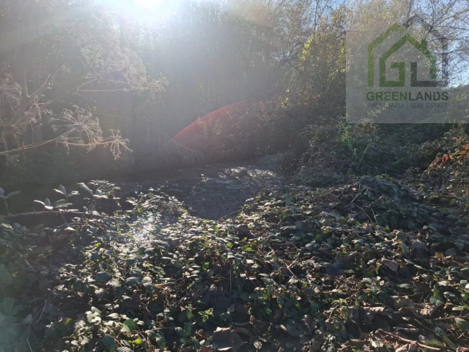 Quinta T0 para Venda em Côja e Barril de Alva Foto 14