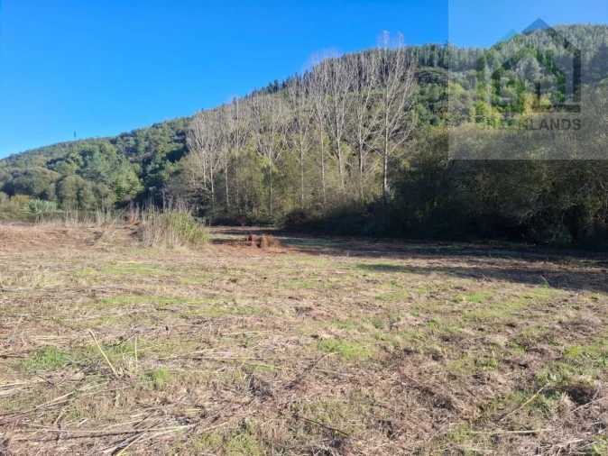 Quinta T0 para Venda em Côja e Barril de Alva Foto 15