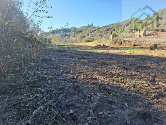 Quinta T0 para Venda em Côja e Barril de Alva Foto 8