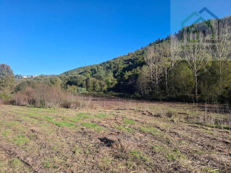 Quinta T0 para Venda em Côja e Barril de Alva Foto 12