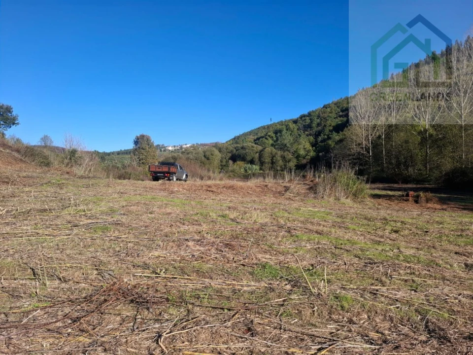 Quinta T0 para Venda em Côja e Barril de Alva Foto 4