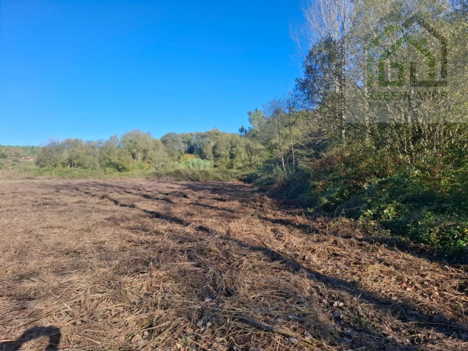 Quinta T0 para Venda em Côja e Barril de Alva Foto 7