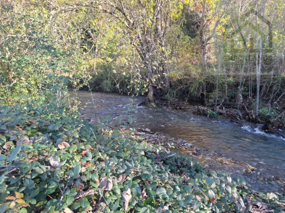 Quinta T0 para Venda em Côja e Barril de Alva Foto 5