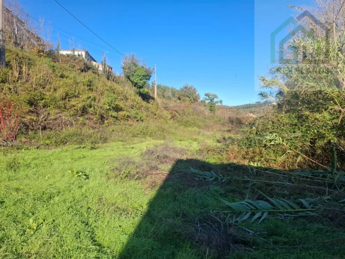 Quinta T0 para Venda em Côja e Barril de Alva Foto 6