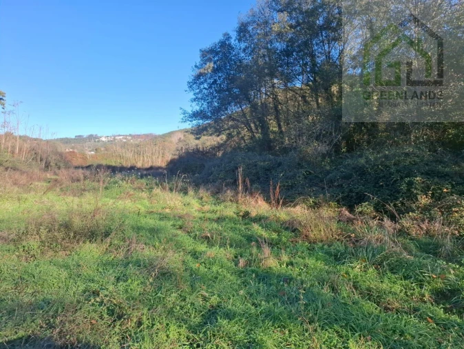 Quinta T0 para Venda em Côja e Barril de Alva Foto 3