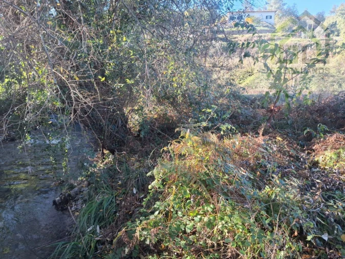 Quinta T0 para Venda em Côja e Barril de Alva Foto 18