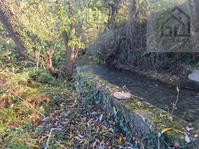 Quinta T0 para Venda em Côja e Barril de Alva Foto 4