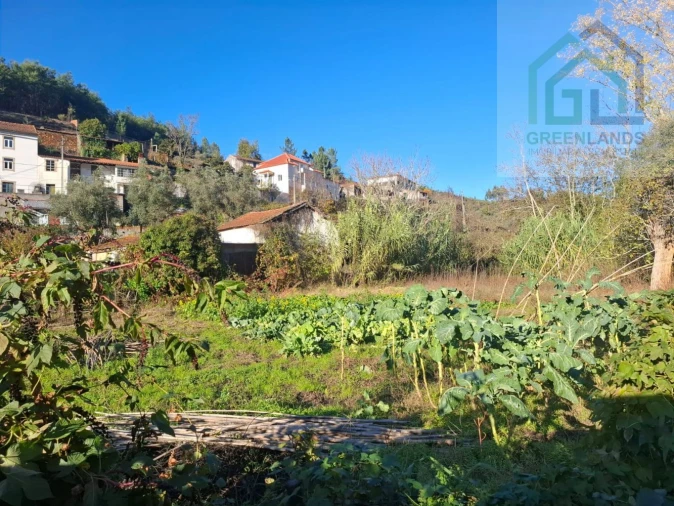 Quinta T0 para Venda em Côja e Barril de Alva Foto 16