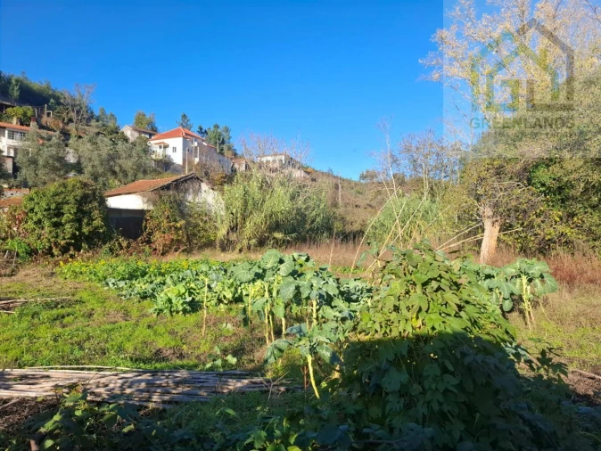 Quinta T0 para Venda em Côja e Barril de Alva Foto 15
