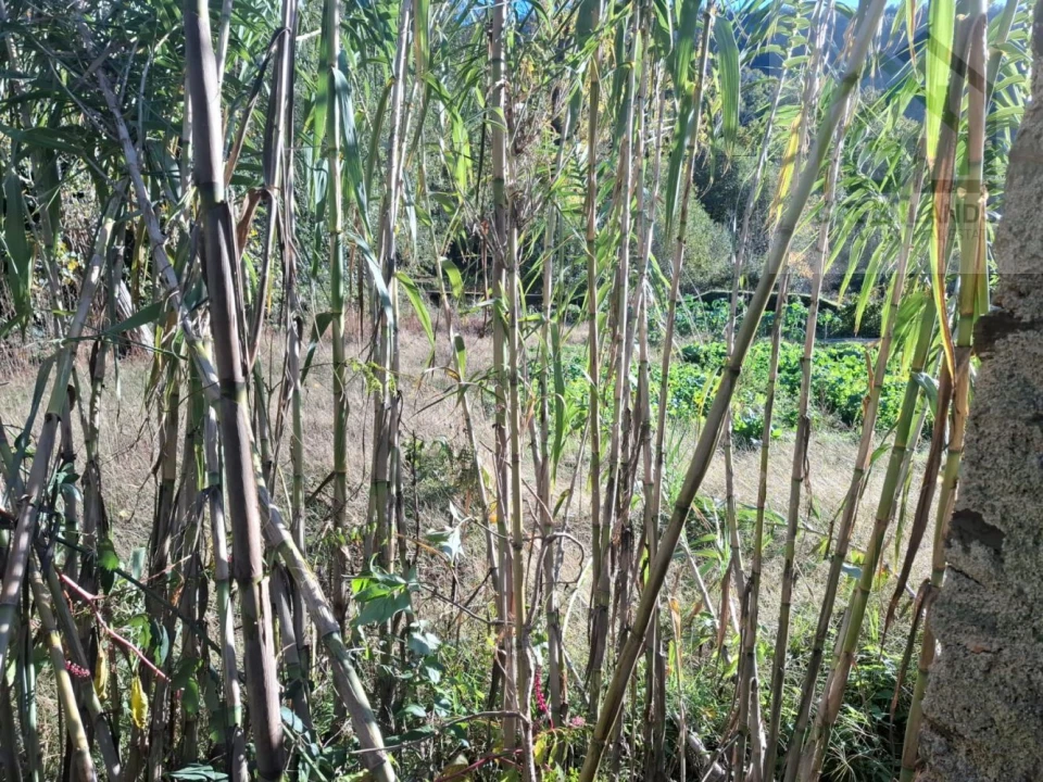 Quinta T0 para Venda em Côja e Barril de Alva Foto 13