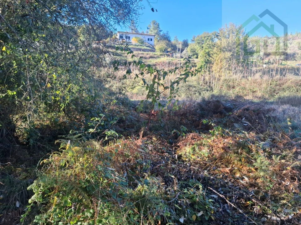 Quinta T0 para Venda em Côja e Barril de Alva Foto 8