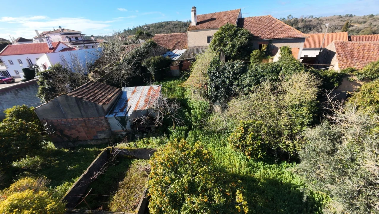 Quinta T5 para Venda em Chãos Foto 47