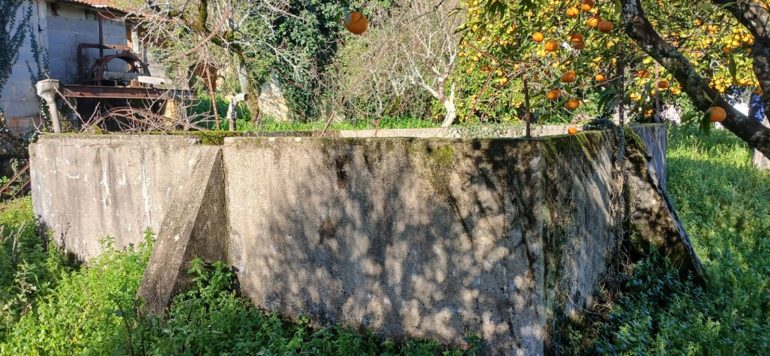 Quinta T5 para Venda em Chãos Foto 25