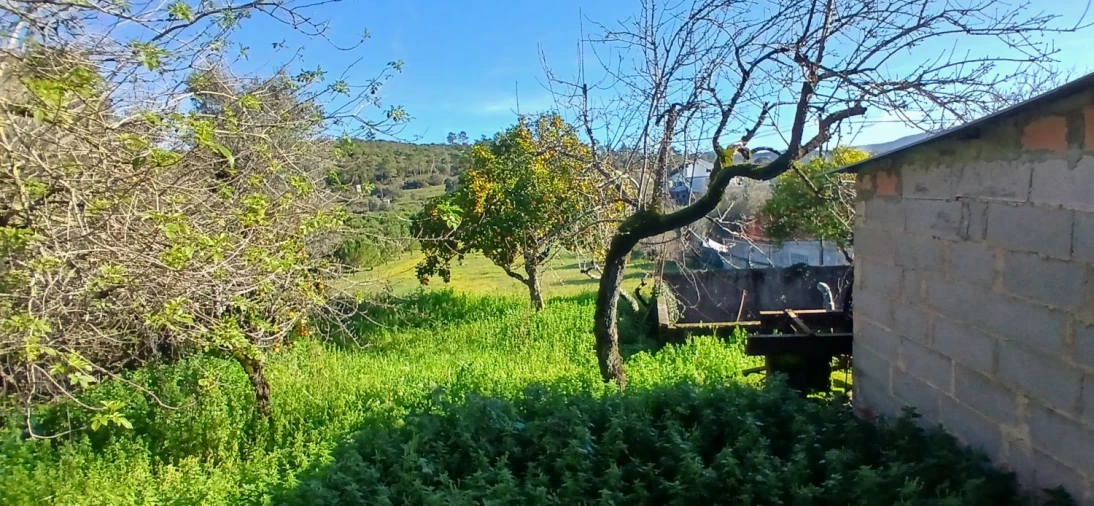 Quinta T5 para Venda em Chãos Foto 16