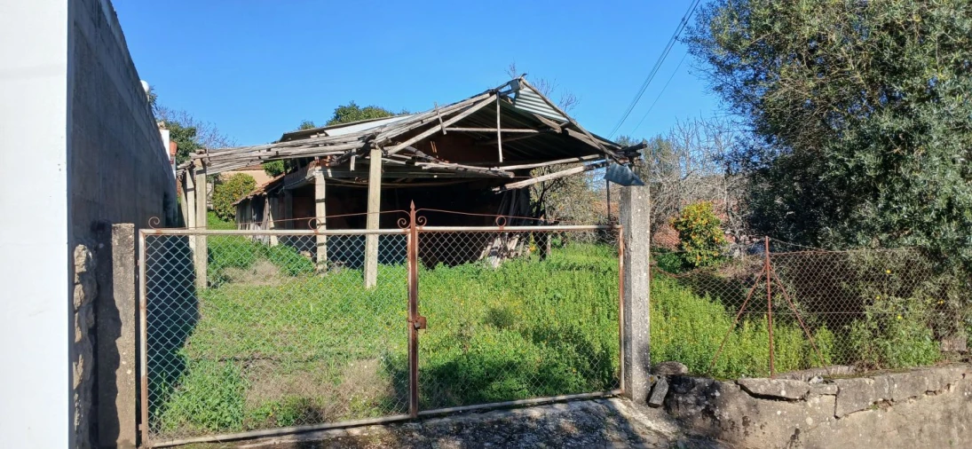 Quinta T5 para Venda em Chãos Foto 43