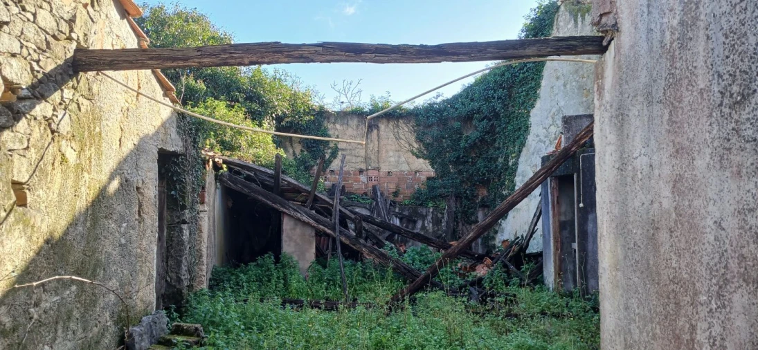 Quinta T5 para Venda em Chãos Foto 11