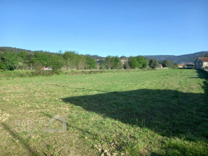 Terreno para Venda em Quintiães e Aguiar Foto 7
