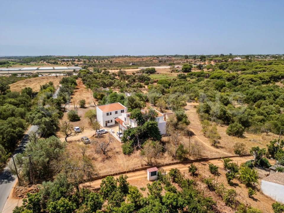 Terreno para Venda em Almancil Foto 8