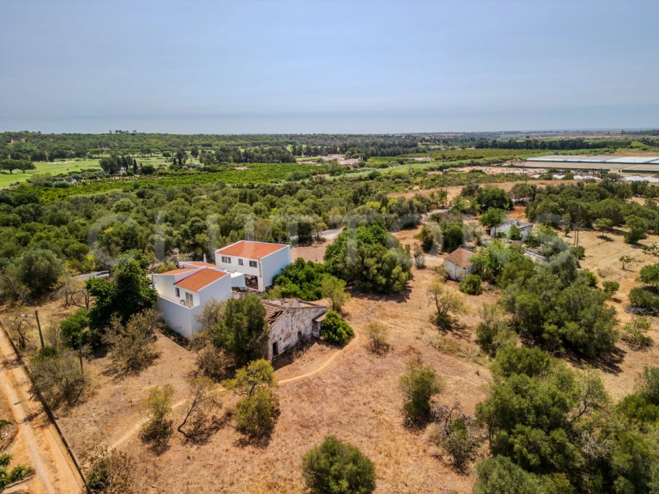 Terreno para Venda em Almancil Foto 12