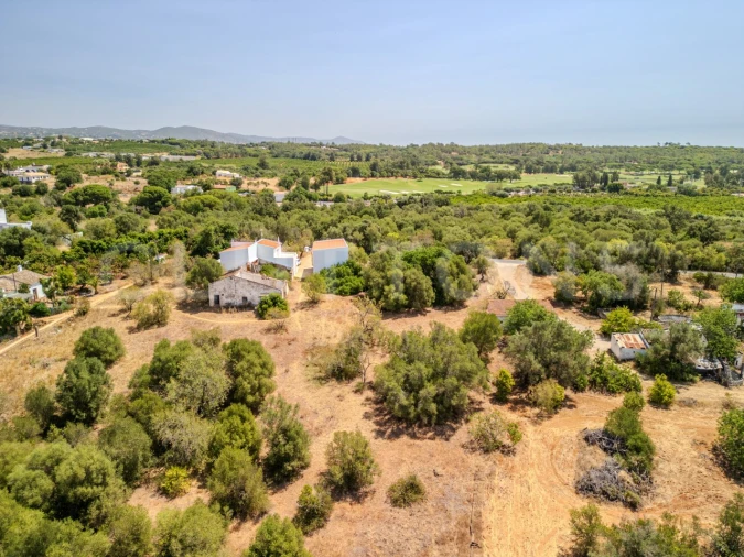 Terreno para Venda em Almancil Foto 4