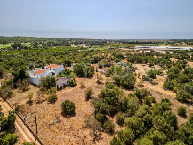 Terreno para Venda em Almancil Foto 7